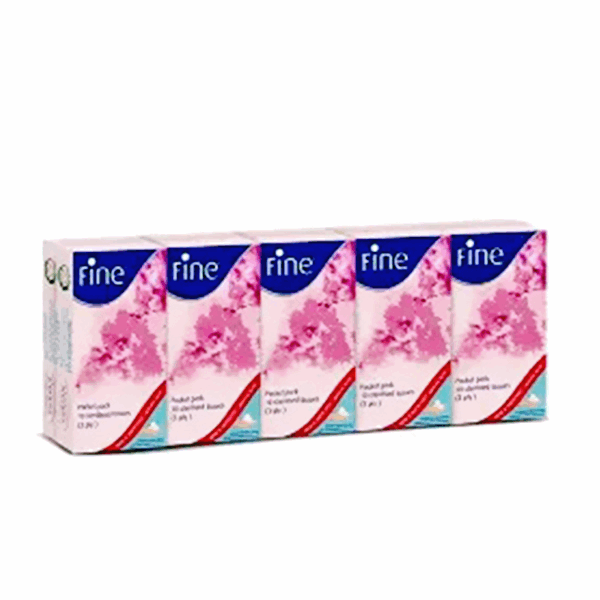 مناديل جيب فاين جيب باكيت 10قطعة